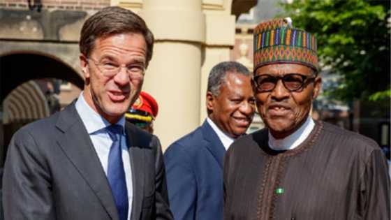 Dutch prime minister Mark Rutte promises to help Nigeria fight insurgency