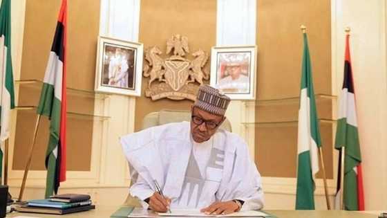 President Buhari makes million dollar donation to South Asian country in crisis