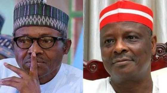 A hakikanin gaskiya ba bu mai son Buhari kamar ni - Kwankwaso