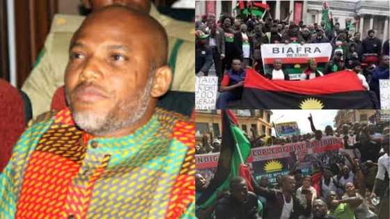 OPINION: Why ethnic minorities may suffer if Biafran Republic is achieved