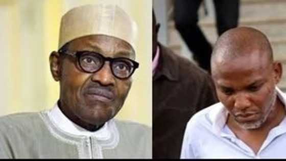 Buhari wants to use his sister to totally destroy Nnamdi Kanu – IPOB cries out