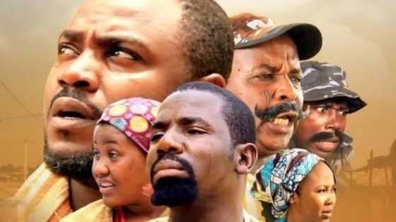 Dandalin Kannywood: Fina-finan Kannywood 5 da suka yi fice a shekarar 2017