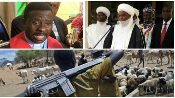 CAN replies Sultan, Muslim leaders over herdsmen killings; denies promoting discord