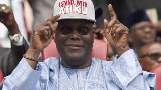 An gano sabuwar hanyar da Atiku ya shirya tafka gagarumin magudi a zaben 2019