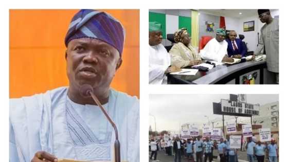 Make new environment law accessible now or face legal action, civil society groups tell Ambode