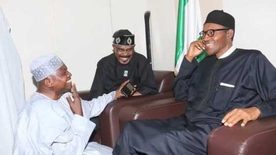 Buhari's popularity will grow among the poor and ordinary citizens - Presidency