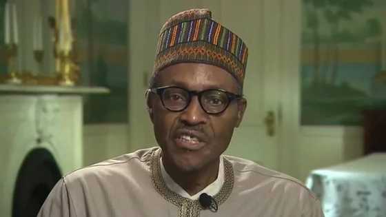 SAY WHAT? President Buhari And His Five Shocking Blunders