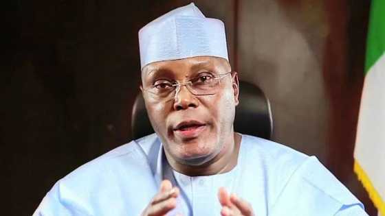 Yan Arewa Ni Suke Bukata, Ba Wani Bayarabe Ko Inyamuri ba: Atiku