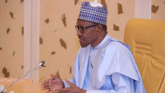 Ranar demokaradiyya: Muhimman batutuwa 5 da Shugaba Buhari ya tabo a jawabinsa
