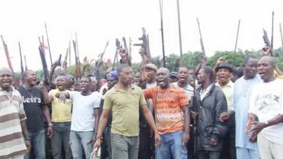 Names and photos of Niger Delta militants terrorising Lagos found