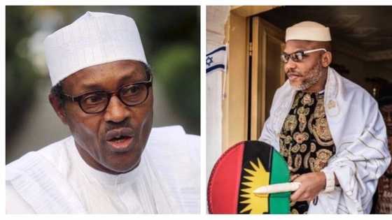 Biafra: What Buhari should do to Nnamdi Kanu - Igbo assembly reveals