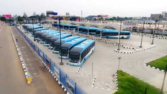 See photos of the new buses to take over Lagos roads as LASG tells danfo drivers what to expect in the coming days