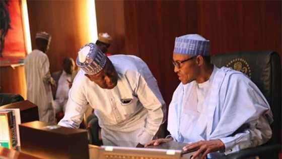 Buhari's minister opens up, says suspended SGF was giving government a bad name