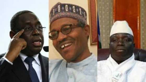 Wani Shugaban Afirka na yabon Buhari batun maganan Gambiya