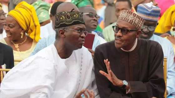 Shugaba Buhari ya fara rabon kudaden sata - Ministan Buhari