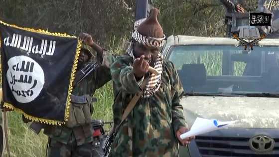HEARTBREAKING! Boko Haram Kills 350 Teachers, Destroys 512 Schools In Borno
