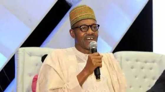 President Buhari Gives Hint On How He Will Solve Nigeria's Problems