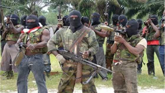 You are our enemies - Niger Deltan militants threaten to blow up homes of NASS members from the region over budget cut, hit Jonathan