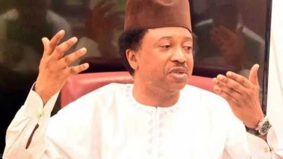 APC ba addini bane don haka zan fita na bar ta da miyagu – Sanata Shehu Sani