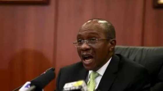 Arms Probe Deal: Pastor Tunde Bakare Calls For The Arrest Of CBN Governor