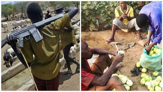 For allegedly killing ONE Fulani herdsmen, see what happened to these THREE farmers in Benue