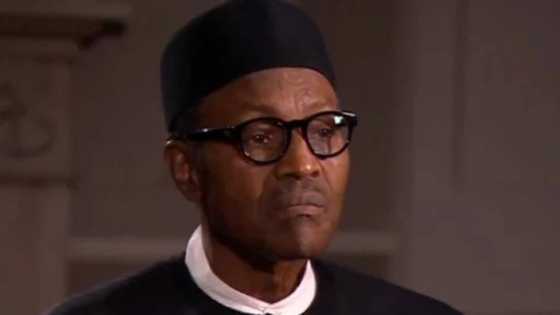 You won't believe the new names Fayose called Buhari, APC over fuel subsidy removal