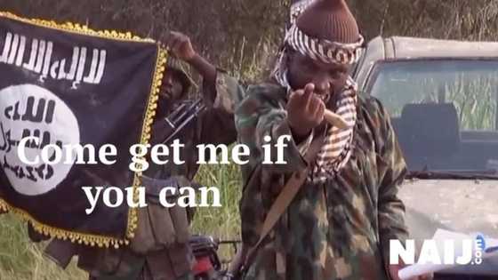 5 times B'Haram leader Shekau disappointed Nigerian army, returned from the dead