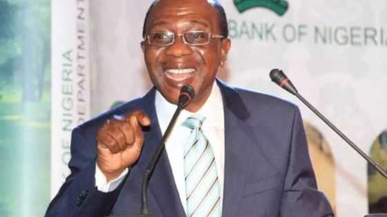 Emefiele’s quick thinking and COVID-19 success story by Abdulkadir Kabiru