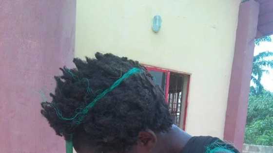 Abin tsoro: Mahaukaci ya kashe wani Sarki ta hanyar soka mashi wuka a wuya