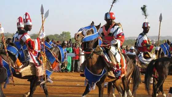 Top 4 reasons why Fulani herdsmen are powerful than you think