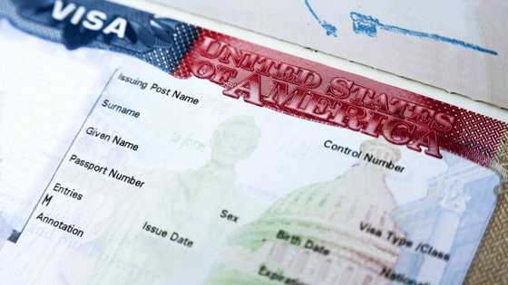This Is How Nigerians Make It Large In The United States