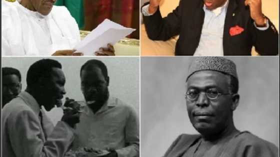 The Fulani Republic of Nigeria: I believe in Biafra and Oduduwa nation – Open letter by Fani-Kayode