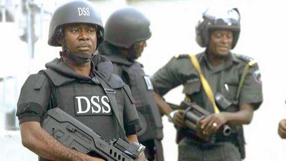 Military, security agencies responsible for proliferation of firearms - DSS insists