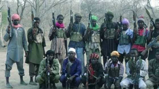 Boko Haram: Presidency Sets Plan To Rescue Chibok Girls