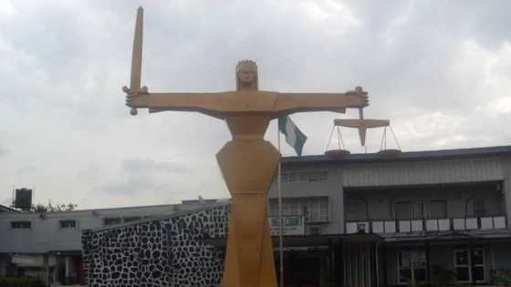 “Wahala be like portable”: Tenant drags landlady to court for refusing to sell house to him, judge intervenes