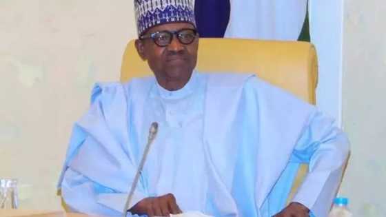 "No govt can solve all problems", President Buhari admits after over 7 years in office