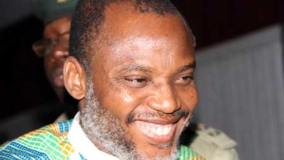 Biafra: Secret plan of Nnamdi Kanu and IPOB exposed