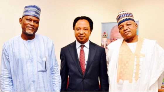 PDP chairman blasts El-Rufai for cursing Shehu Sani, other Kaduna senators