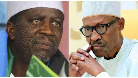 Wasikar Obasanjo: Ba a bari mu gana da Buhari mu bashi shawara, shi yasa muke yawan kalubalantar shi - Bafarawa