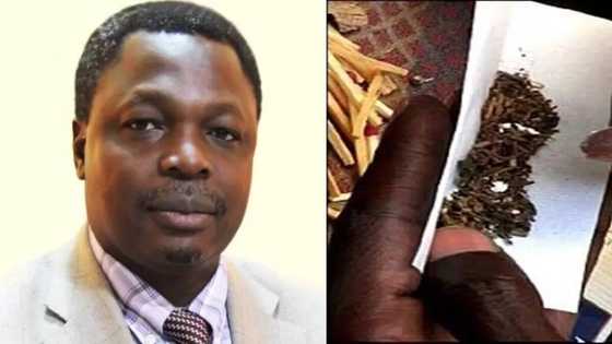 Kashin kadangare matasa ke zuka yanzu don maye – Likitan mahaukata, Taiwo Sheikh