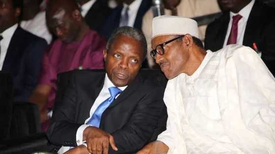 Osinbajo's office declines comment as Buhari jokes about threat to VP position