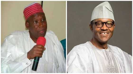 Zan shigar da Buhari kara koru idan bai tsayawa takarar zabe ba, inji Ganduje