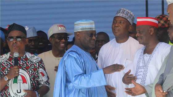 2019: Wanda ya fi cancanta Atiku ya zaba a matsayin abokin takara – Kungiya