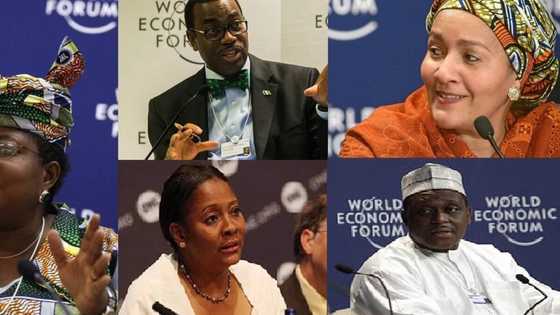 5 Appointees Of GEJ Who Got World Class Appointments After Leaving Government