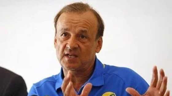 Enyeama will return to Super Eagles after injury – Rohr