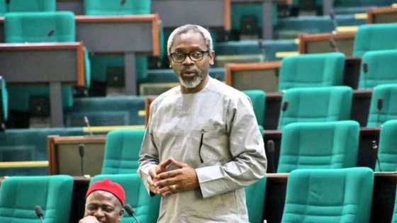 APC remains strong despite defection - Gbajabiamila