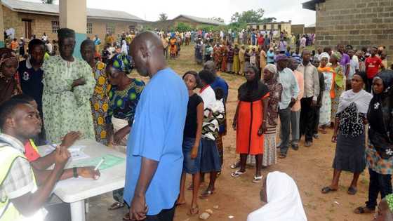 FCT area council polls: Yiaga Africa issues 10 key recommendations ahead of polls