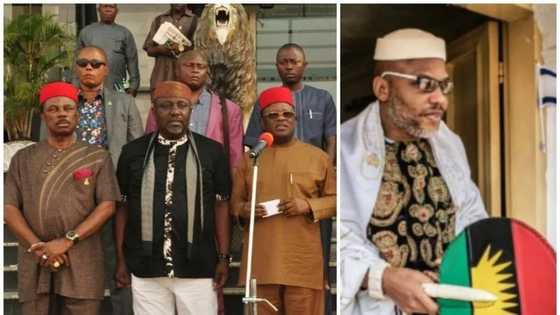 Group backs proscription of IPOB, calls for Nnamdi Kanu's arrest
