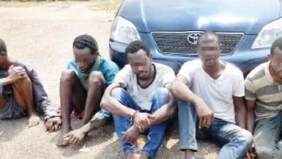 'Yansandan Kebbi sun rafto masu fashin mota a yankin Yamma mai nisa