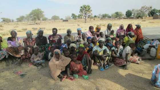 Suspected Boko Haram terrorists caught, troops rescue 112 women and children (photos)